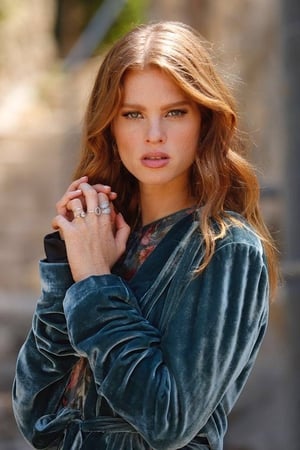 Yuval Scharf Image