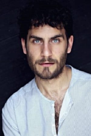 Harry Taurasi Image