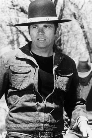 Tom Laughlin Image
