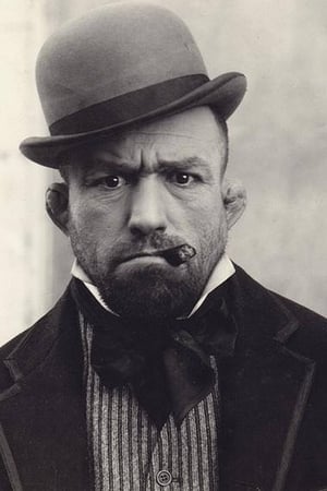 Bull Montana Image