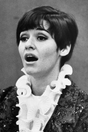 Marcia Rodd Image