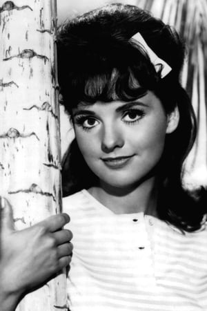 Dawn Wells Image