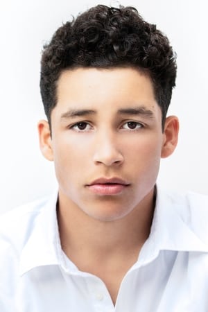 Andrew Liner Image