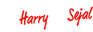 Jab Harry Met Sejal Logo