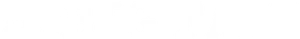 The Big Fake Logo