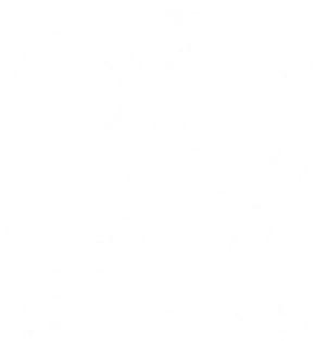 The 39 Steps Logo