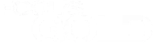 Fool's Gold Logo