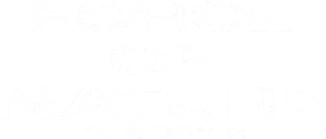 Force of Nature: The Dry 2 Logo
