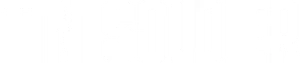 Tin Soldier Logo