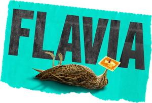 Flavia Logo