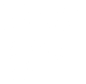 Finding Emily Logo