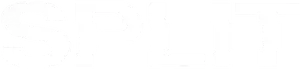 Split Logo