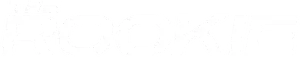 The Rookie Logo