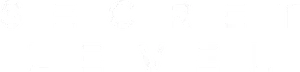 Secret Level Logo