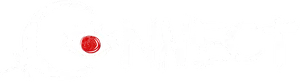 Connect Logo