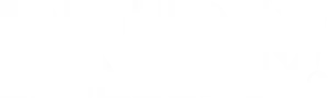 The Bride Logo