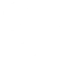 A Perfect Ending Logo