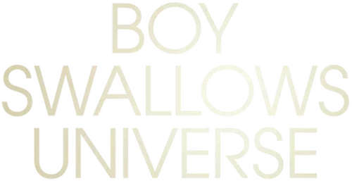 Boy Swallows Universe