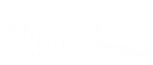 Vinland Saga