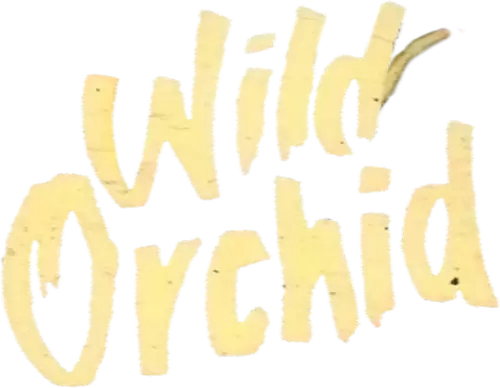 Wild Orchid