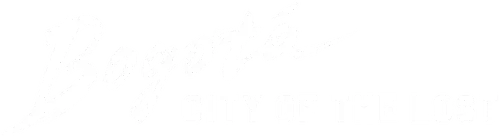 Bogota: City of the Lost