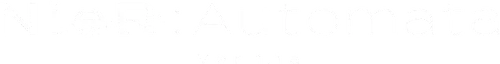 Nier: Automata Ver1.1a