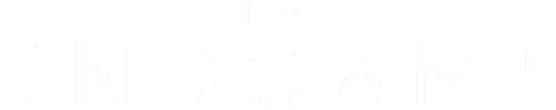 The Endgame
