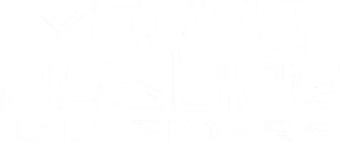 Young Justice
