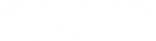 The Out-Laws