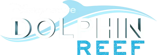 Dolphin Reef