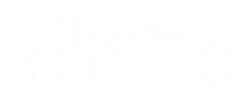 The Terminal