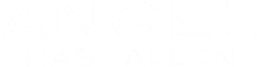 Angel Has Fallen