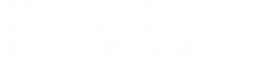Citadel: Honey Bunny