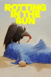 چهارمین پوستر کالکشن
