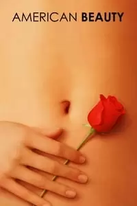 دومین پوستر کالکشن