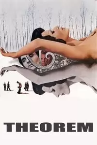 دومین پوستر کالکشن