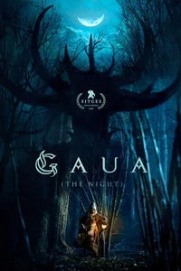 The Night Poster