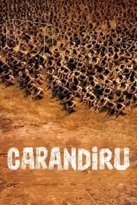 دومین پوستر کالکشن