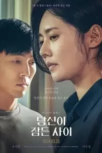 While You Were Sleeping Poster