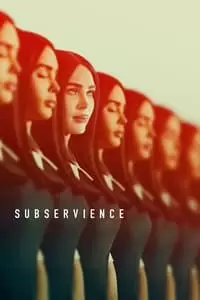 دومین پوستر کالکشن