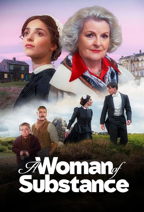 A Woman of Substance Poster