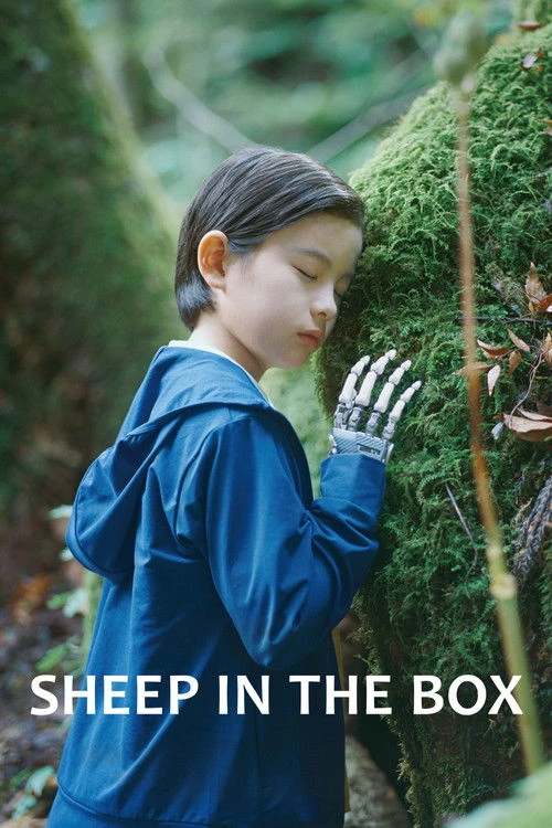 Sheep in the Box Poster