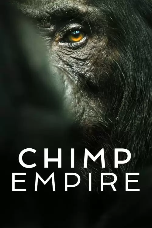 Chimp Empire Poster
